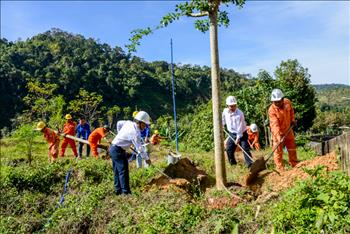 Các đơn vị EVNGENCO 1 hưởng ứng Tết trồng cây 2023