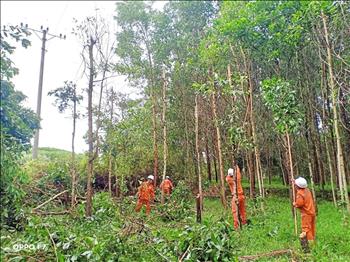 PC Hà Tĩnh: Phát quang hành lang, đẩy mạnh tuyên truyền an toàn điện trong mùa mưa bão