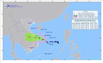 Áp thấp nhiệt đới mạnh lên thành bão số 5 (SONCA)