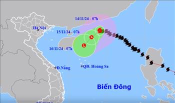 Công điện số 6477 của EVN về chủ động ứng phó bão số 8 (TORAJI) 