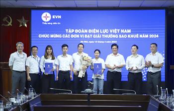 Lãnh đạo EVN chúc mừng các đơn vị đạt giải thưởng Sao Khuê năm 2024