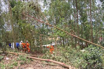 Phát động tuyên truyền bảo vệ an toàn công trình lưới điện cao áp trên địa bàn tỉnh Yên Bái