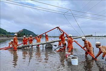 Công ty Điện lực Phú Yên: Sát cánh cùng sự phát triển của tỉnh