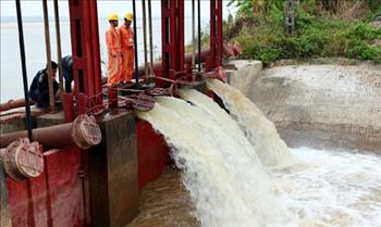 Báo cáo nhanh hằng ngày của Tổng cục Thủy lợi về tình hình lấy nước đổ ải