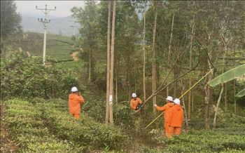 Yên Bái: Chú trọng bảo vệ an toàn hành lang lưới điện