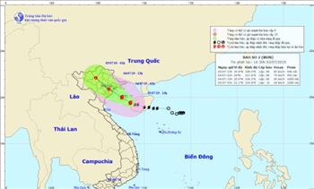 EVN sẵn sàng ứng phó trước bão số 2