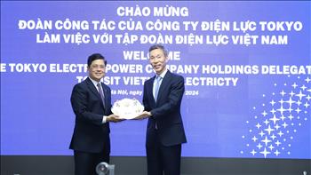 Lãnh đạo EVN làm việc với Công ty Điện lực Tokyo (Nhật Bản)