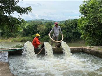 Công ty Điện lực Phú Yên: Ưu tiên cấp điện cho 102 trạm bơm chống hạn