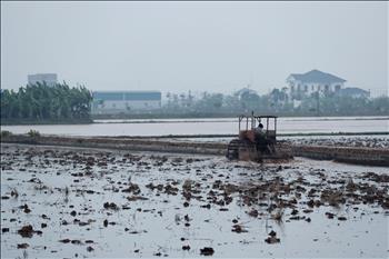 Vụ Đông Xuân 2024: Các hồ chứa thủy điện của EVN xả 2,78 tỷ m3 nước phục vụ gieo cấy