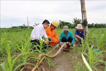 Đảm bảo an toàn điện trong sản xuất nông nghiệp