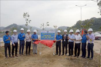 Đoàn Thanh niên EVN phát động trồng 21.000 cây xanh trong năm 2021