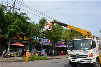 Công ty Điện lực TP. Cần Thơ sẵn sàng đảm bảo điện cho Hội nghị ASEM 2018