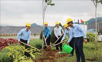 Thực hiện phong trào "Tết trồng cây" Xuân Quý Mão năm 2023