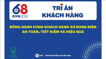 Infographic: EVN triển khai Tháng tri ân khách hàng năm 2022