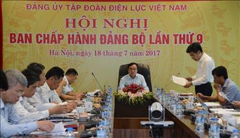 Phát huy hơn nữa vai trò lãnh đạo của Ban Chấp hành Đảng bộ EVN