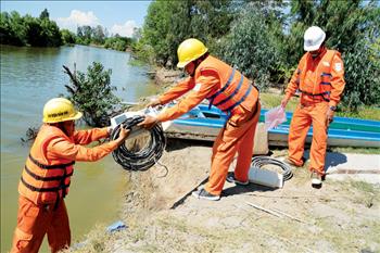 Nan giải “bài toán” vốn cho cấp điện nông thôn ở Cà Mau