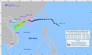 Tin bão trên biển đông (Cơn bão số 4) - Bản tin phát lúc 20h00 phút ngày 08/10/2023