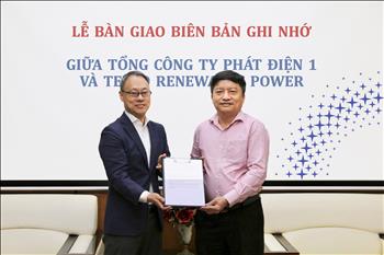 Tổng công ty Phát điện 1 hợp tác với TEPCO Renewable Power 