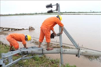 Phục hồi cấp điện cho các trạm bơm tiêu úng, cứu lúa, hoa màu sau bão số 1