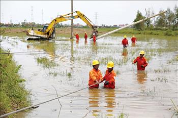 Cấp điện nhanh sau bão: Kinh nghiệm từ EVNCPC