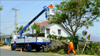 Lâm Đồng: Tăng cường công tác bảo đảm hành lang an toàn lưới điện