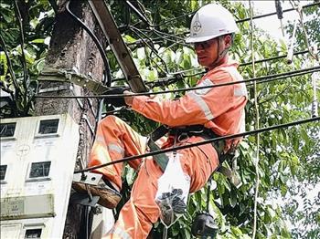 PC Lào Cai: Khởi công dự án cấp điện tái thiết các khu dân cư bị thiệt hại nặng nề do bão Yagi