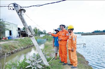 Sóc Trăng: An toàn điện cho hộ nuôi tôm