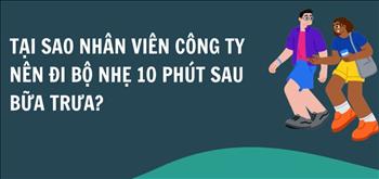 Tại sao nhân viên công ty nên đi bộ nhẹ 10 phút sau bữa trưa?