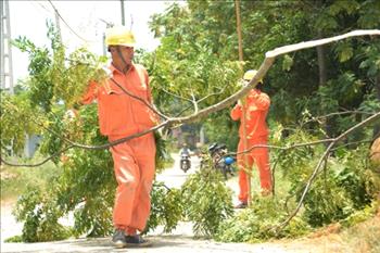 Công ty Điện lực Chương Mỹ: Phối hợp cùng địa phương đảm bảo điện mùa mưa bão 2018