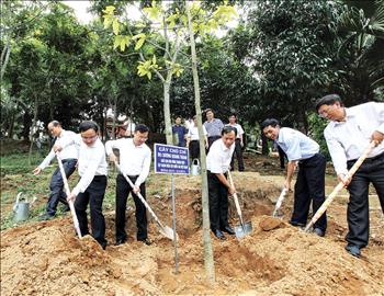 Hoàn thiện tổ chức Đảng trong ngành Điện: Vì mục tiêu xây dựng EVN vững mạnh