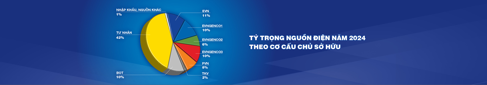 Tỷ trọng nguồn điện 2024